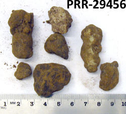 Photo of sample