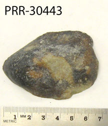 Photo of sample