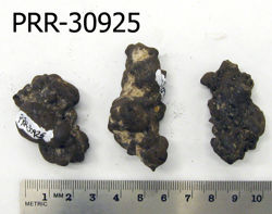 Photo of sample