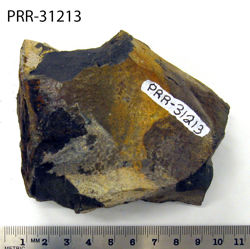 Photo of sample