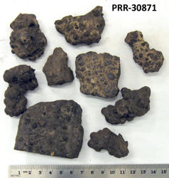 Photo of sample